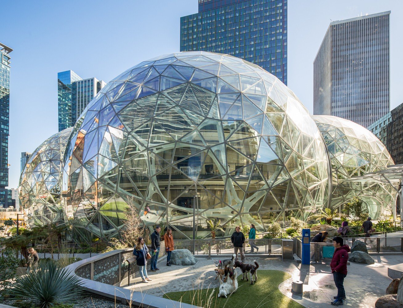 Amazon Spheres İç Mekan Görsel